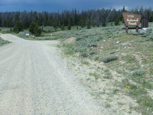 GDMBR: Union Pass, this is Continental Divide Crossing #8 of the Great Divide Mountain Bike Route.